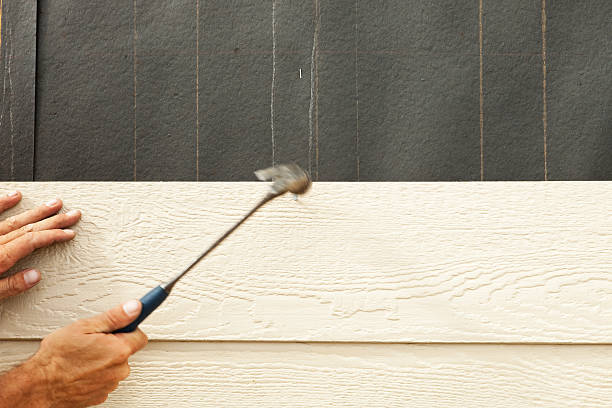 Best Stone Veneer Siding  in Coing, AL